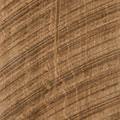 Alamo Arm Chair - Woodcraft Furniture