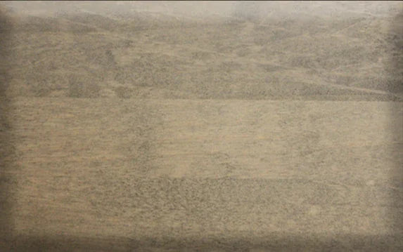 Alder Shaker 30" by 84" Bookcase