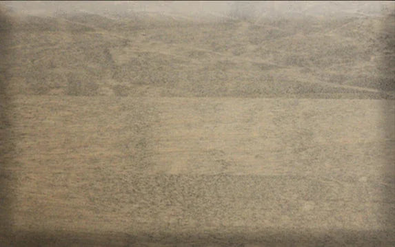 Alder Shaker 36" by 72" Bookcase