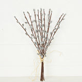 550138-Pussy Willow Bush-17in Bundle