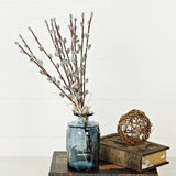 550138-Pussy Willow Bush-17in Bundle