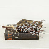 550138-Pussy Willow Bush-17in Bundle