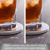 Nature's Greenery Round Stone Coasters w/Wooden Holder