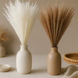 Whisk Flower – Dried Decorative Stems - 10pc Bunch